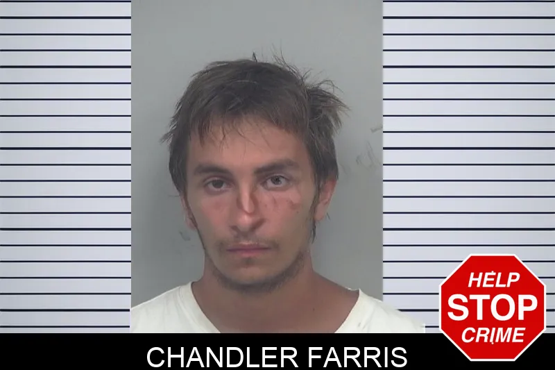 Chandler Farris mugshot