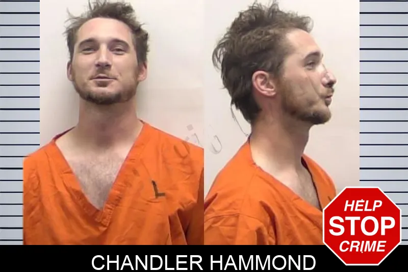 Chandler Hammond mugshot