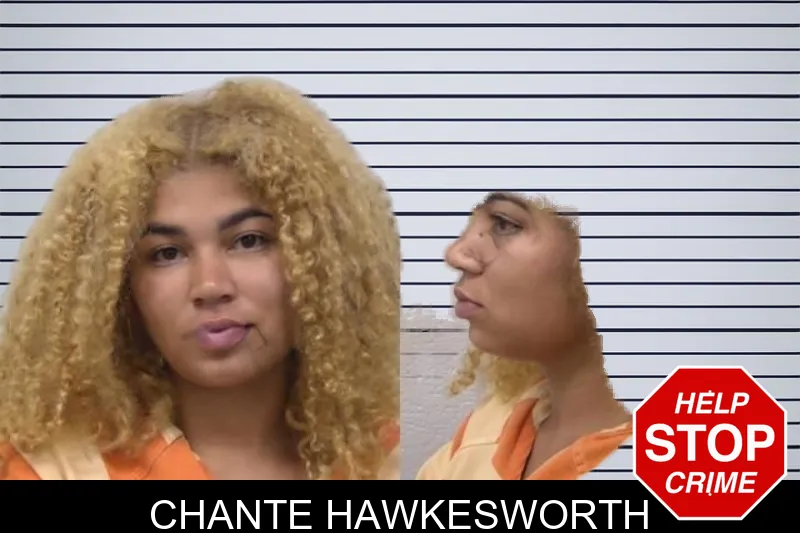 Chante Hawkesworth mugshot