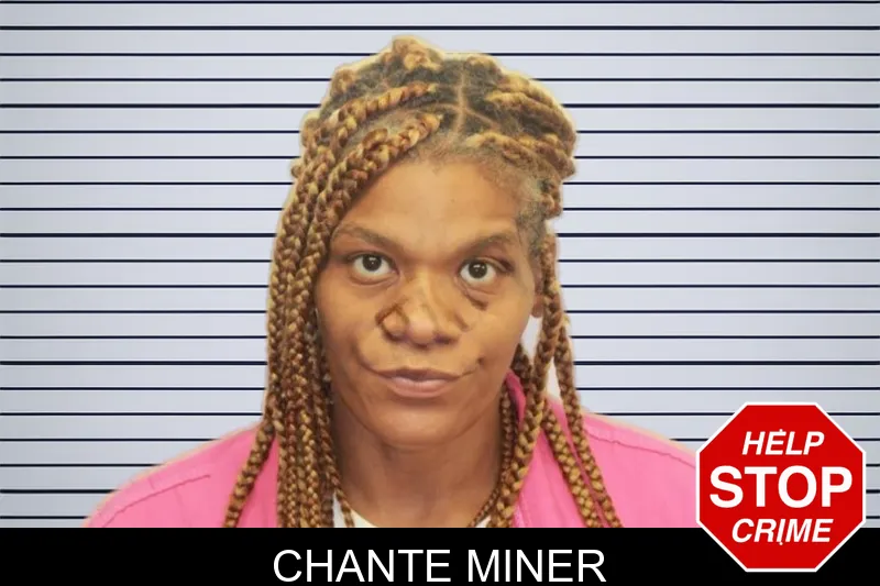 Chante Miner mugshot