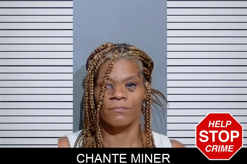 Chante Miner mugshot