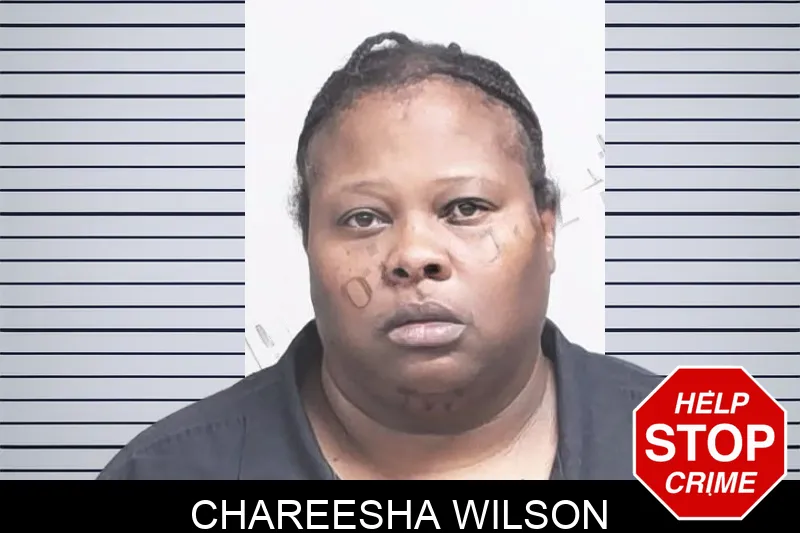 Chareesha Wilson mugshot