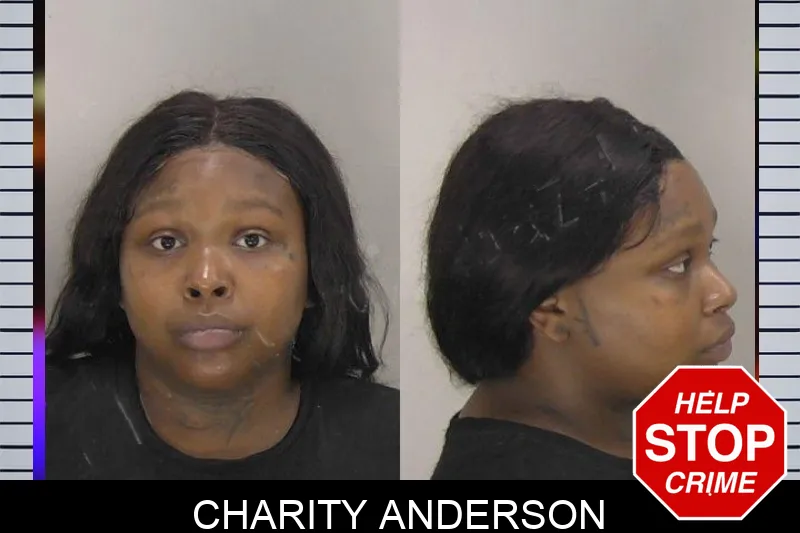 Charity Anderson mugshot