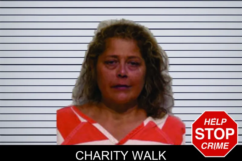 Charity Walk mugshot