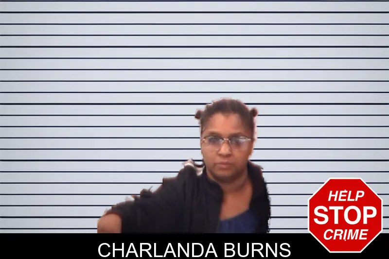 Charlanda Burns mugshot
