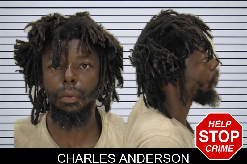 Charles Anderson mugshot
