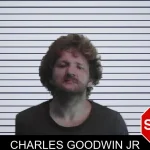 Charles Goodwin Jr mugshot