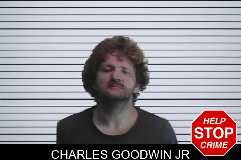 Charles Goodwin Jr mugshot