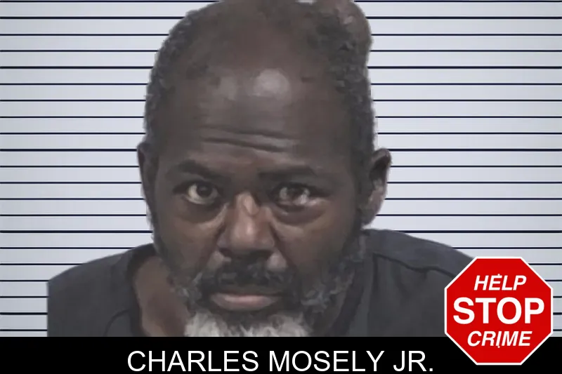 Charles Mosely Jr. mugshot