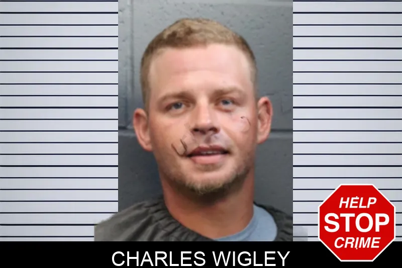 Charles Wigley mugshot