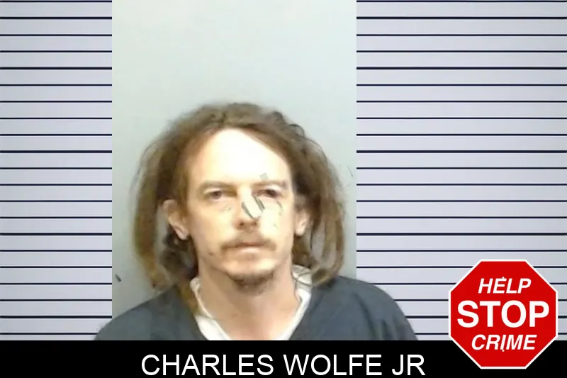 Charles Wolfe Jr mugshot