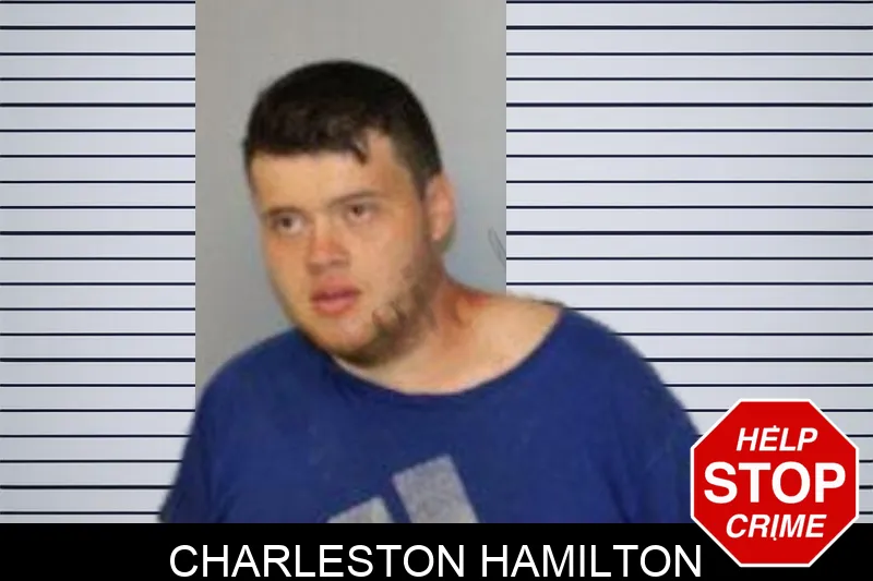 Charleston Hamilton mugshot