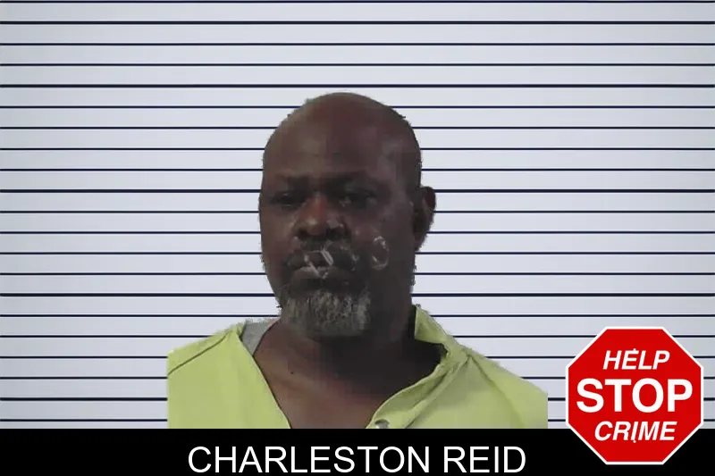 Charleston Reid mugshot