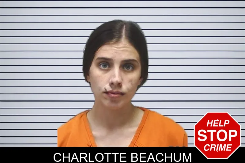 Charlotte Beachum mugshot – Cherokee County , Georgia Charlotte Beachum mugshot