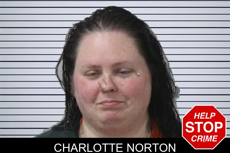 Charlotte Norton mugshot