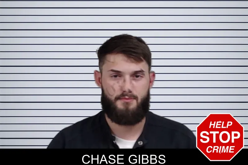 Chase Gibbs mugshot – Lowndes County , Georgia Chase Gibbs mugshot