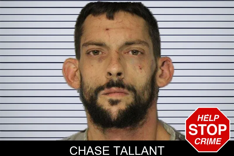 Chase Tallant mugshot