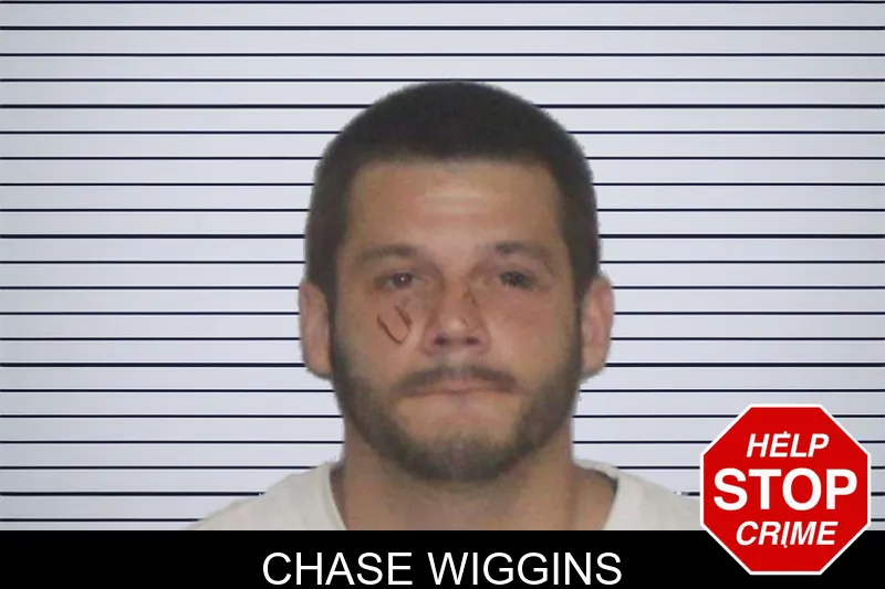 Chase Wiggins mugshot
