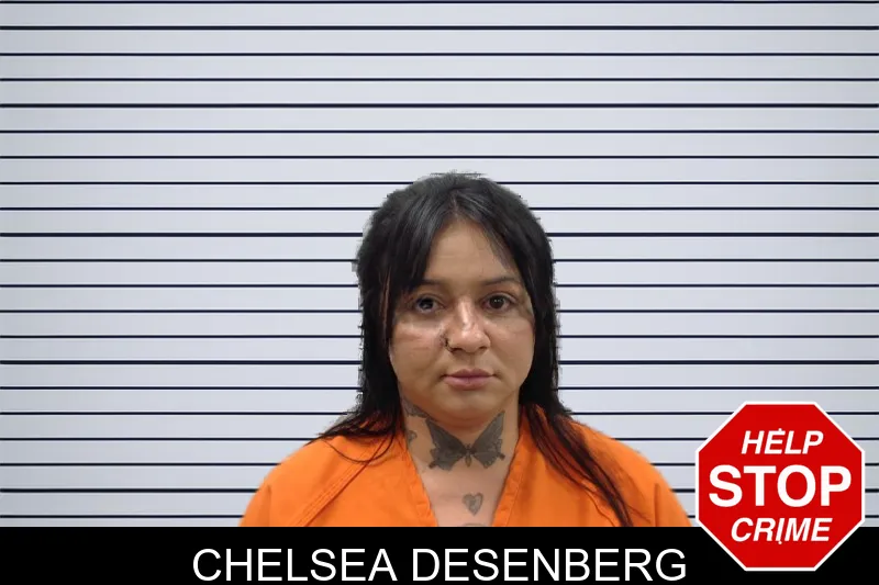 Chelsea Desenberg mugshot