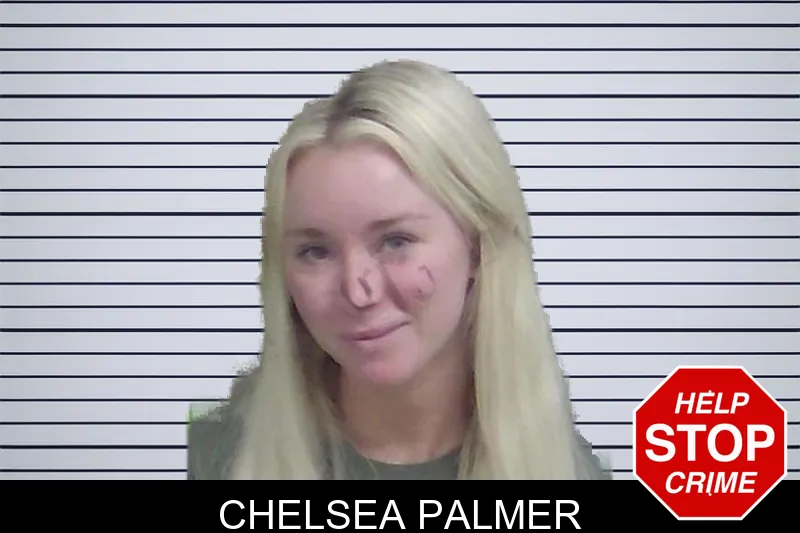 Chelsea Palmer mugshot