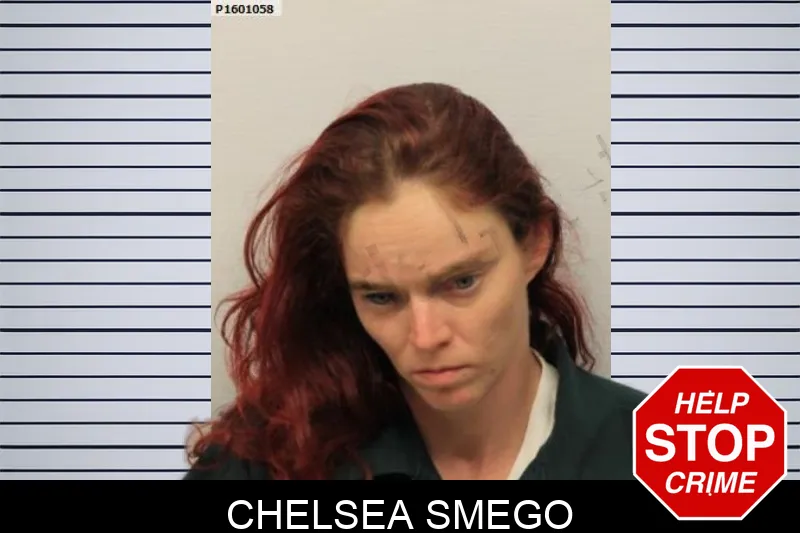 Chelsea Smego mugshot