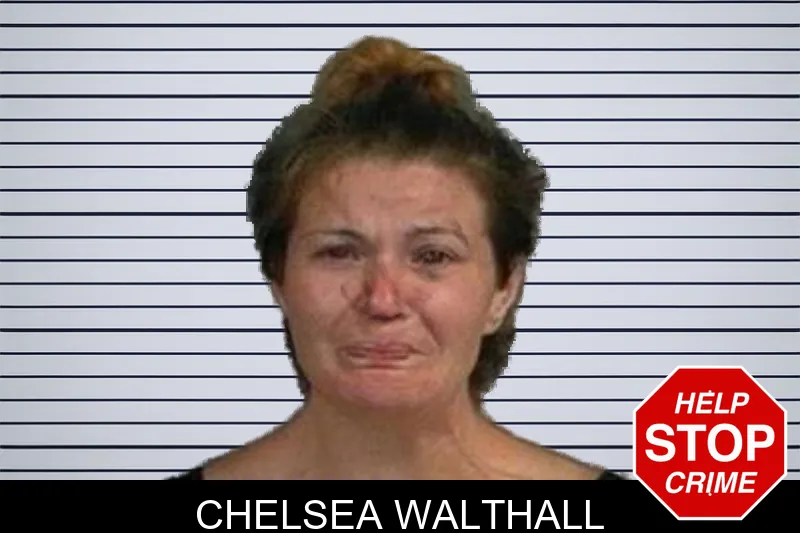Chelsea Walthall mugshot