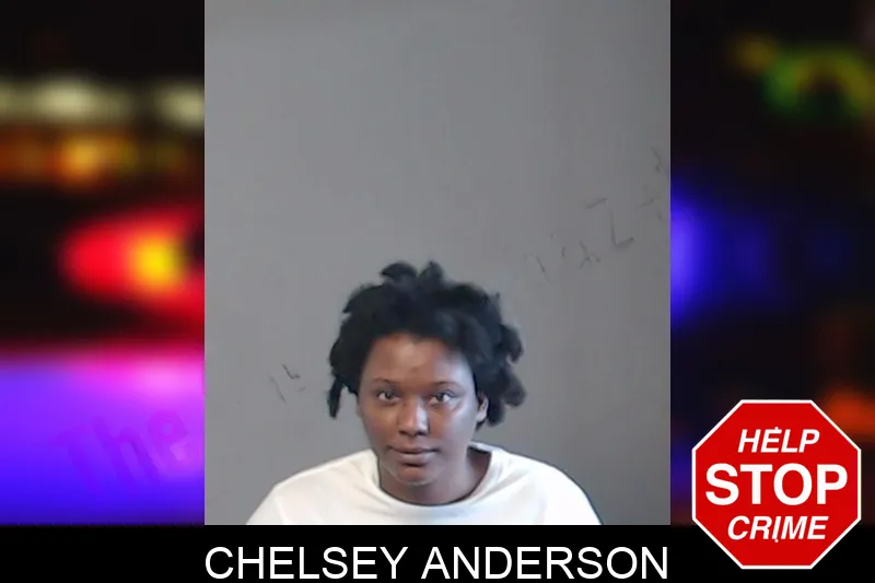 Chelsey Anderson mugshot
