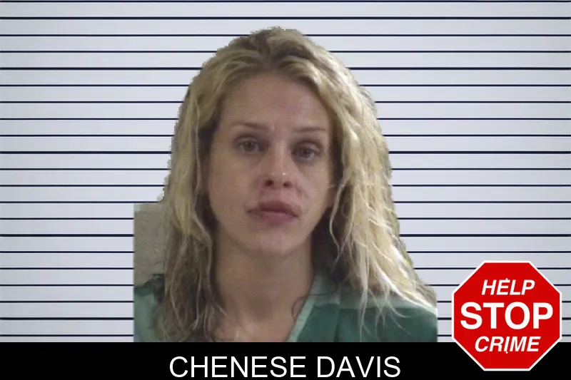 Chenese Davis mugshot