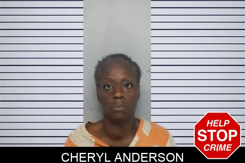 Cheryl Anderson mugshot