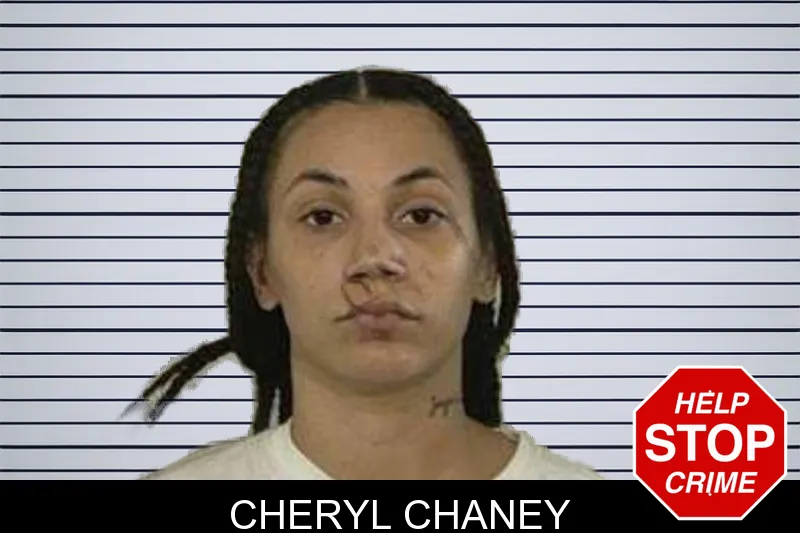 Cheryl Chaney mugshot
