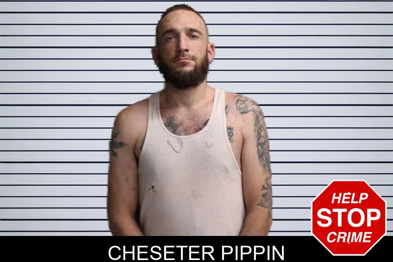 Cheseter Pippin mugshot