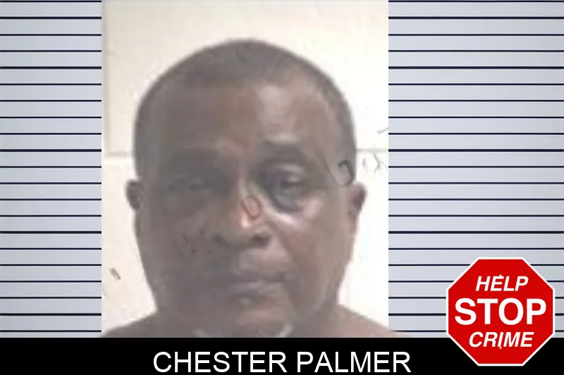 Chester Palmer mugshot