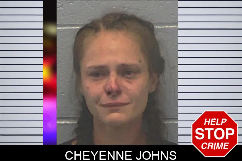 Cheyenne Johns mugshot