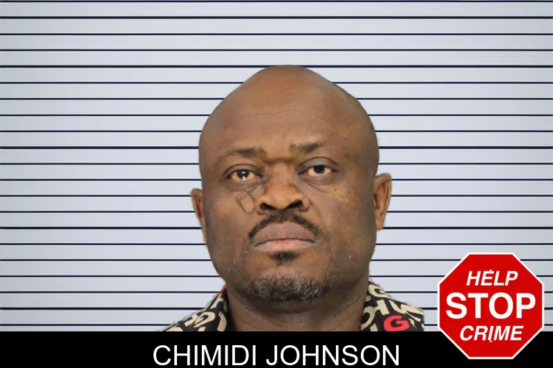 Chimidi Johnson mugshot