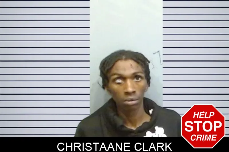Christaane Clark mugshot