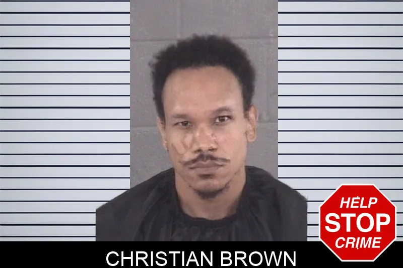 Christian Brown mugshot