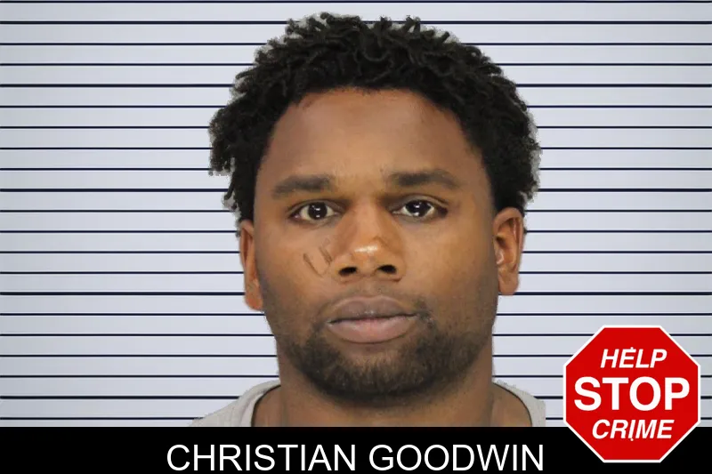 Christian Goodwin mugshot