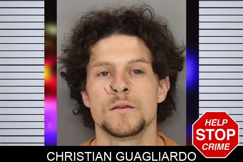 Christian Guagliardo mugshot