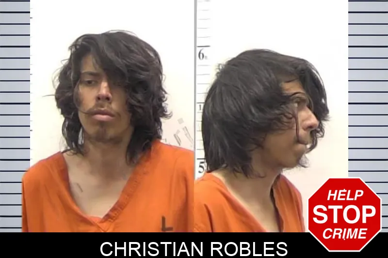 Christian Robles mugshot