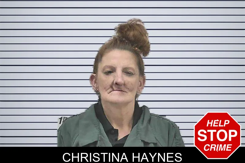 Christina Haynes mugshot