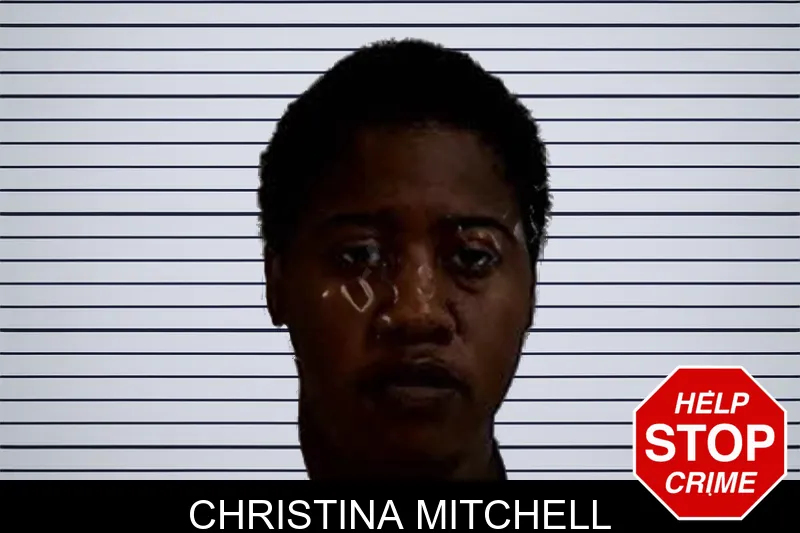 Christina Mitchell mugshot