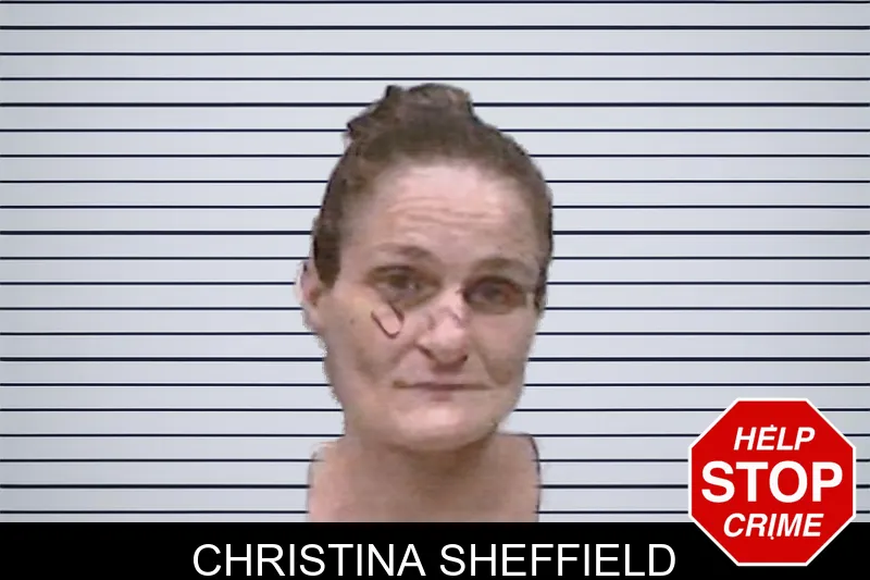 Christina Sheffield mugshot