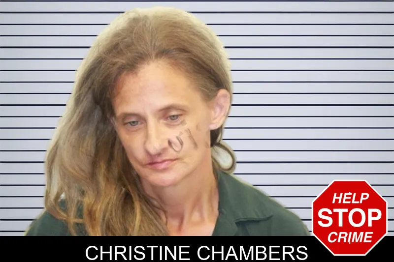 Christine Chambers mugshot