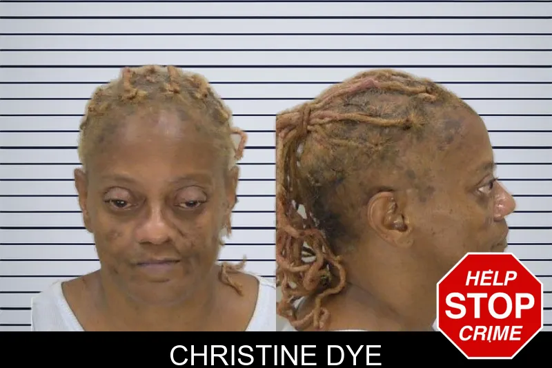 Christine Dye mugshot