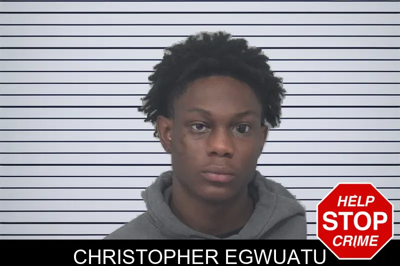 Christopher Egwuatu mugshot