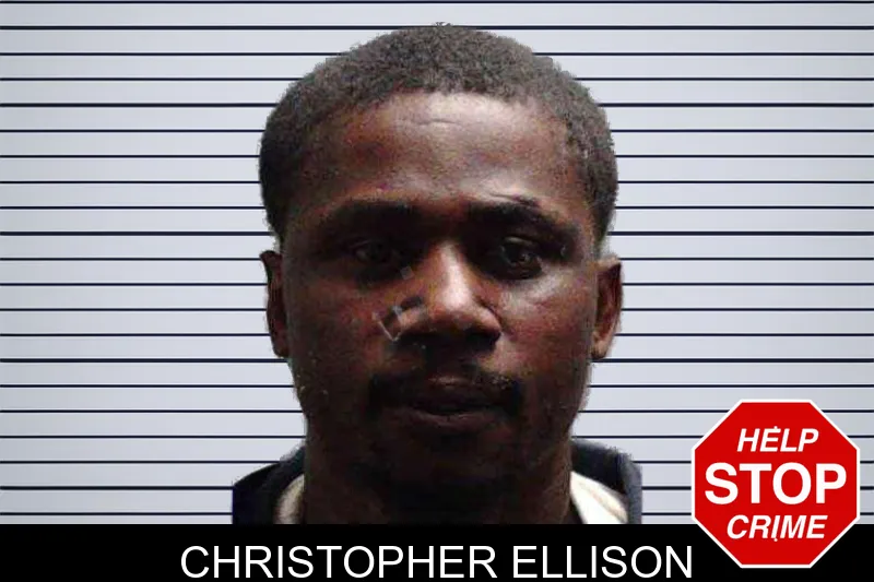Christopher Ellison mugshot