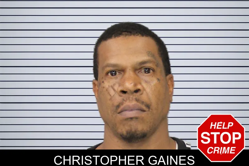 Christopher Gaines mugshot – Cobb County , Georgia Christopher Gaines mugshot