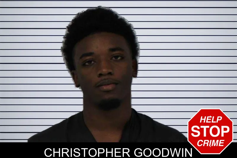 Christopher Goodwin mugshot