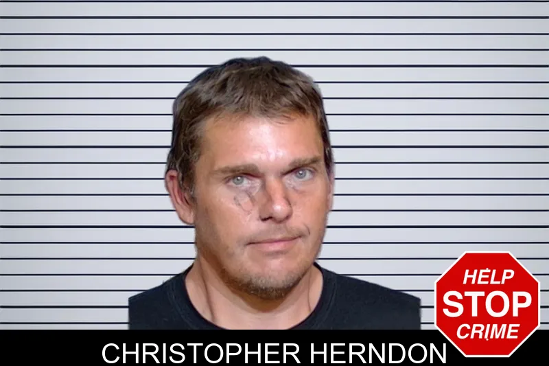 Christopher Herndon mugshot