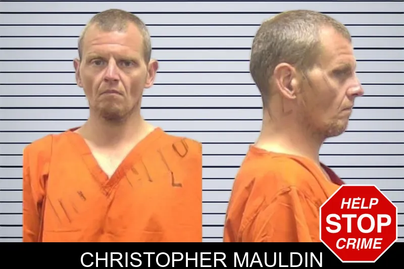 Christopher Mauldin mugshot